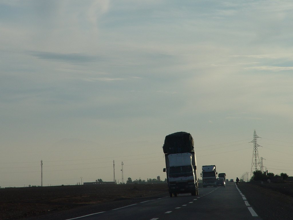 DSC07439