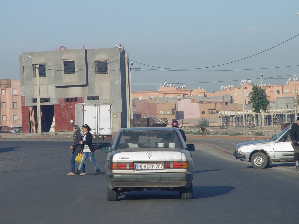 DSC07537