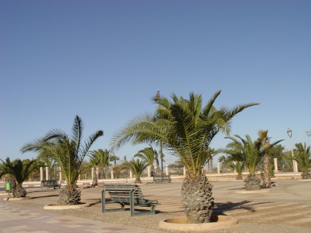 DSC07804