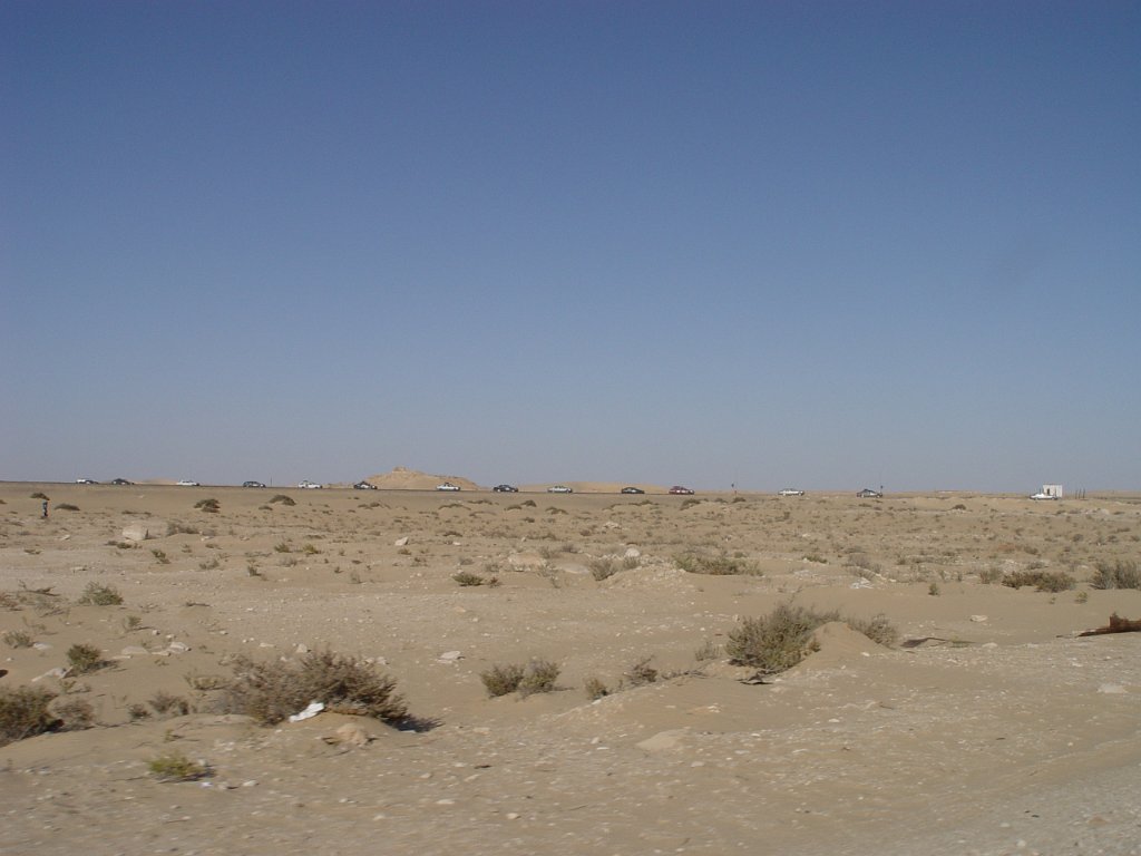 DSC07943