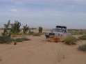 DSC08187