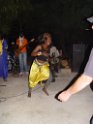 DSC08464
